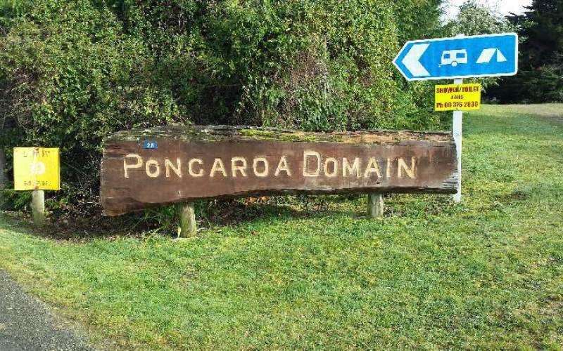Pongaroa Domain Freedom/Basic Camp New Zealand